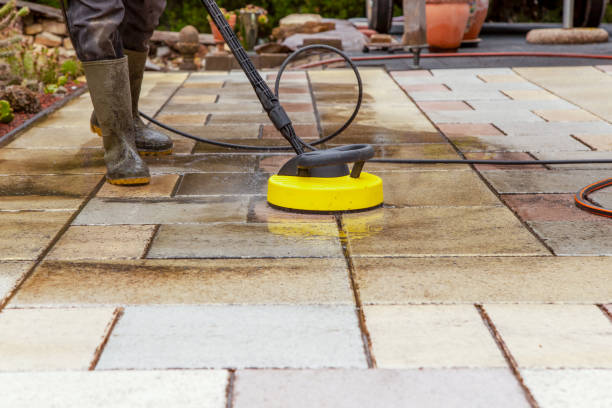 Best Animal Enclosure Cleaning  in Egypt Lake Leto, FL